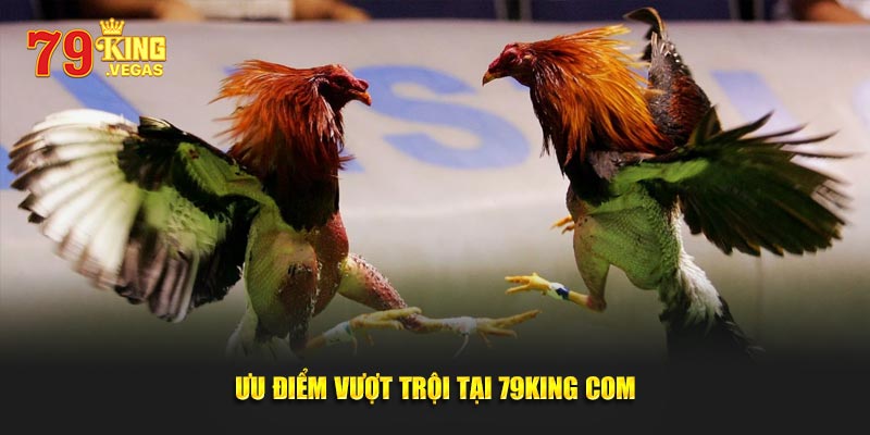 Ưu điểm vượt trội tại 79KING COM